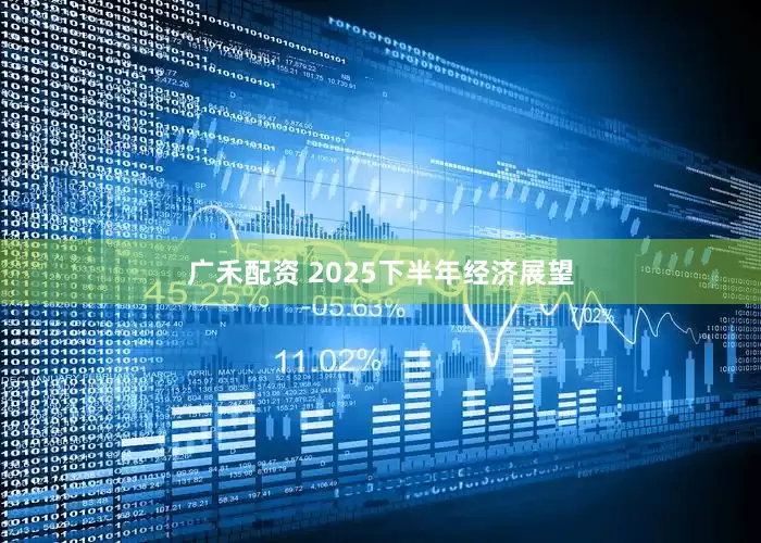 广禾配资 2025下半年经济展望