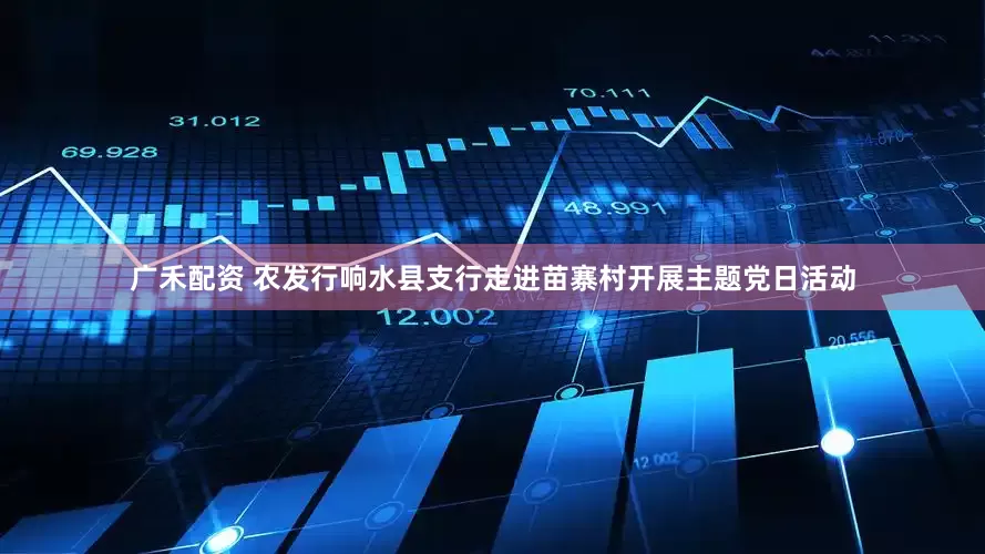 广禾配资 农发行响水县支行走进苗寨村开展主题党日活动