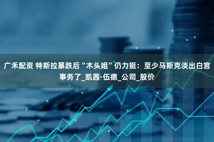 广禾配资 特斯拉暴跌后“木头姐”仍力挺：至少马斯克淡出白宫事务了_凯茜·伍德_公司_股价