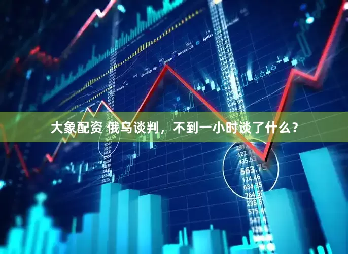 大象配资 俄乌谈判，不到一小时谈了什么？