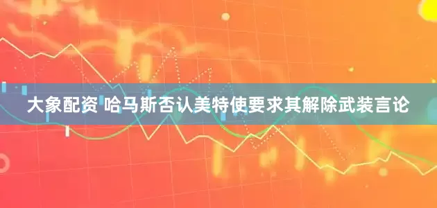大象配资 哈马斯否认美特使要求其解除武装言论