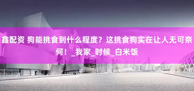 鑫配资 狗能挑食到什么程度？这挑食狗实在让人无可奈何！_我家_时候_白米饭