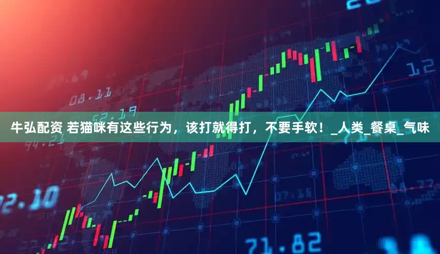 牛弘配资 若猫咪有这些行为，该打就得打，不要手软！_人类_餐桌_气味