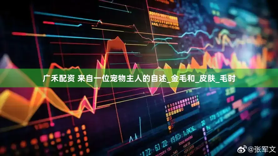 广禾配资 来自一位宠物主人的自述_金毛和_皮肤_毛时