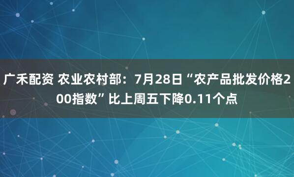 广禾配资 农业农村部：7月28日“农产品批发价格200指数”比上周五下降0.11个点