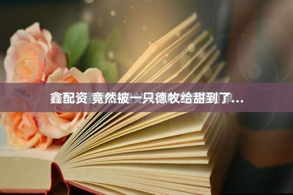 鑫配资 竟然被一只德牧给甜到了...